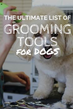 Dog Grooming Tools, Dog Grooming Styles, Dog Grooming Clippers, Dog Grooming Salons, Dog Clippers, Dog Grooming Tips, Dog Grooming Supplies, Dog Grooming Business, Haircut Styles