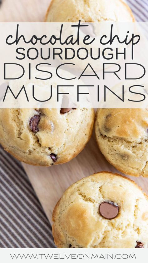 Sourdough Recipes For Kids, Discard Chocolate Chip Muffins, Sourdough Treats, Sourdough Dessert, Chocolate Chip Muffins Easy, Sourdough Muffins, Recipe Using Sourdough Starter, Discard Recipe, Dough Ideas