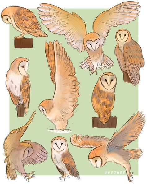 Animal Tattoo Ideas, Wings Drawing, Owls Drawing, Dessin Adorable, Animal Sketches, Owl Art, Arte Animal, Bird Drawings, 영감을 주는 캐릭터