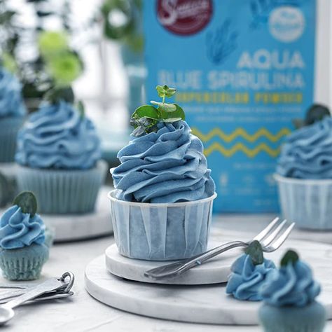 Aqua Blue Velvet Cupcakes with Blue Vanilla Buttercream Frosting – Suncore Foods Inc. Blue Velvet Cupcakes, Uma Descendants, Healthy Cupcakes, Blue Frosting, Blueberry Cupcakes, Blue Spirulina, Blue Cupcakes, Vanilla Buttercream Frosting, Food Inc