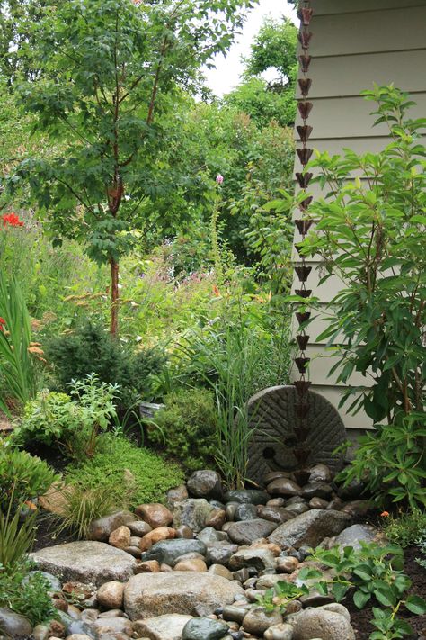 Rain Garden Landscape, Rain Garden Design, Asian Landscape, Sustainable Landscaping, Eco Friendly Garden, Corner Garden, Asian Garden, West Seattle, Eco Friendly Home