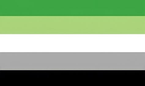 Aro Flag, Aromantic Flag, Trans Pride Flag, Trans Flag, Free Overlays, Lgbt Flag, Lgbtq Flags, Lesbian Flag, Sleepover Activities