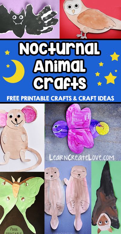 Nocturnal Animals Kindergarten, Nocturnal Animals Activities, Animal Crafts Preschool, Animals Craft, Free Printable Crafts, Library Activities, Nocturnal Animals, Animal Activities, Creatures Of The Night