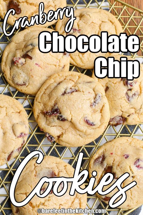 Choclate Chip Cookie Recipe, Cranberry Chocolate Chip Cookies, Craisin Cookies, Dried Cranberries Recipes, Cranberry White Chocolate Chip Cookies, Chocolate Cranberry Cookies, Cranberry Cookies Recipes, Cranberry Chocolate, Chocolate Drop Cookies