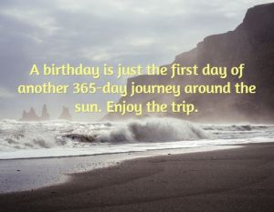 Another Year Around The Sun Birthday, Another Trip Around The Sun Quotes, Another Year Around The Sun, My Pet Dog, Sun Birthday, Passenger Princess, Sun Quotes, Do It Alone, Scrapbook Pictures