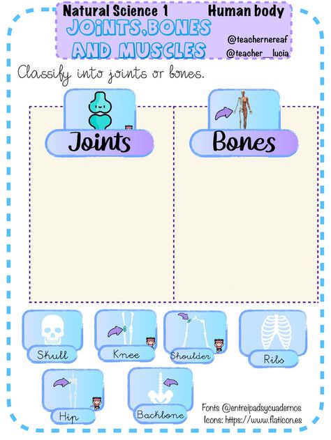 Human body:bones, muscles and joints interactive worksheet Muscles Worksheet, Science Skeleton, Kindergarten Science Projects, Human Body Bones, Skeletal System Worksheet, 4th Grade Activities, Human Body Worksheets, Human Body Projects, Body Bones