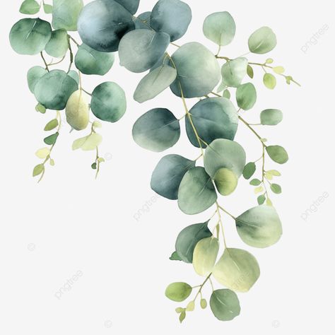 Botanical Watercolor Leaves, Vine Painting, Olive Green Flowers, Green Leaves Watercolor, Metallic Watercolors, Watercolour Leaves, Eucalyptus Watercolor, Leaves Clipart, Watercolor Leaf