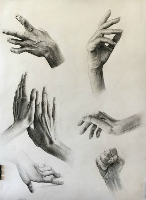 Charcoal Hands Drawing, Pencil Drawing Of Hands, Hand Sketch Realistic, Hands Drawing Realistic, Hand Charcoal Drawing, Hand Study Drawing, Life Study Drawing, Hands Art Drawing, Hands Charcoal