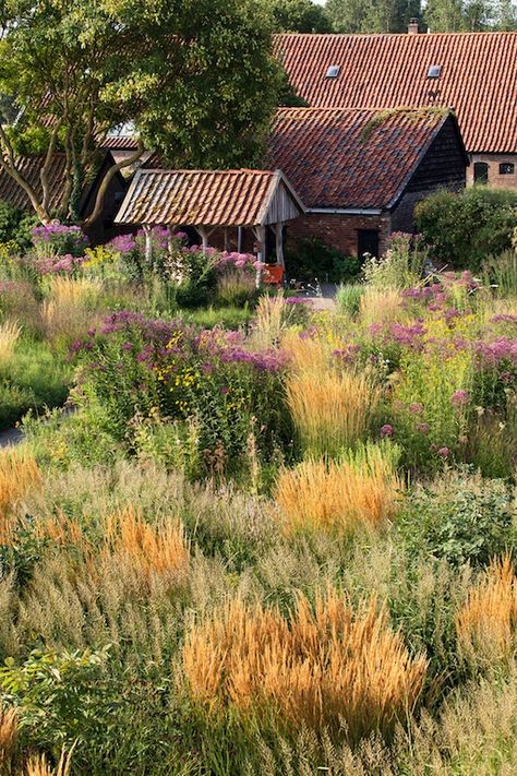 Closing Time: Goodbye to Hummelo - The New Perennialist Prairie Planting, Piet Oudolf, Versailles Garden, Prairie Garden, Meadow Garden, Garden Pictures, Natural Garden, Perennial Garden, Private Garden