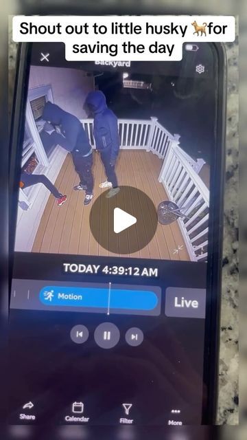 The Mounting Masters | Low Voltage Solutions | Arizona on Instagram: "📹 Watch this intense moment caught on a porch security camera! 🚨 Three men attempt to break into a house, with two intruders sneaking through an open window. But their plan is quickly foiled as a brave husky inside the house chases them off. 🐕‍🦺 You can see them running out of the house in a panic. This is a reminder of the importance of home security. Protect your home with our top-notch alarm and security camera installations.

The Mounting Masters
(602)376-3776
Licensed - Bonded - Insured 
Arizona

#HomeSecurity #BreakIn #CaughtOnCamera #SecurityCameras #StaySafe #ProtectYourHome" Home Security Ideas, Security Storm Doors, An Open Window, Security Camera Installation, Alarm Systems For Home, Home Security Tips, Home Alarm, Hidden Camera, Security Cameras