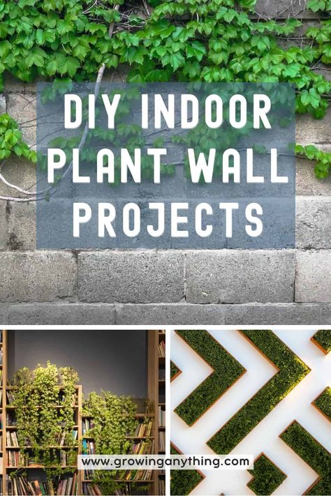 18 DIY Indoor Plant Wall Projects: Easy, and Effective Decoration Vertical Plant Wall Indoor Diy, How To Make A Living Wall Indoors, Plant Grid Wall, Wall Planters Indoor Diy, Diy Living Wall Indoor, Diy Plant Wall Indoor, Living Wall Indoor Diy, Diy Wall Planter Indoor, Plant Feature Wall