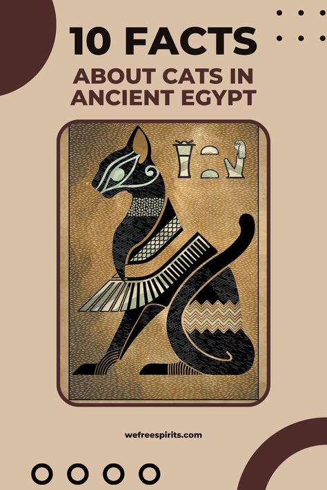 Explore the purr-fect world of Ancient Egyptian cats: from sacred deities to royal pets. Discover 10 extraordinary feline facts! #catsinegypt #bastet Ancient Egypt Cat, Egypt Bastet, Ancient Egypt Lessons, Ancient Egypt Crafts, Cats In Ancient Egypt, Egypt Lessons, Egyptian Crafts, Egypt Cat, Ancient Egyptian Deities