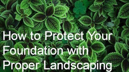 Landscaping By House Foundation, Plants Near House Foundation, How To Protect House Foundation, Landscaping Next To House Foundation, Foundation Drainage, Home Foundation, Potted Plants Patio, Landscaping Around House, Mafia 2