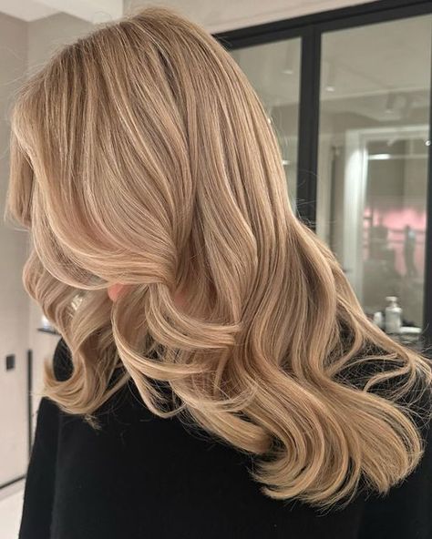 Beige Toned Blonde Hair, Light Warm Blonde Hair, Warm Blonde Hair Color Honey, Warm Blonde Hair, Beige Blonde Hair, Summer Blonde Hair, Blonde Hair Transformations, Beige Hair, Summer Blonde