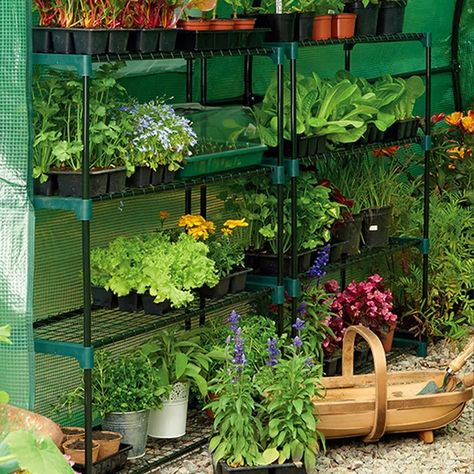 Kinzzy Growing Rack | Wayfair Greenhouse Shelves, Tunnel Greenhouse, Greenhouse Supplies, Best Greenhouse, Tiny Balcony, Wire Shelves, Small Balcony Garden, Garden Mini, Mini Greenhouse