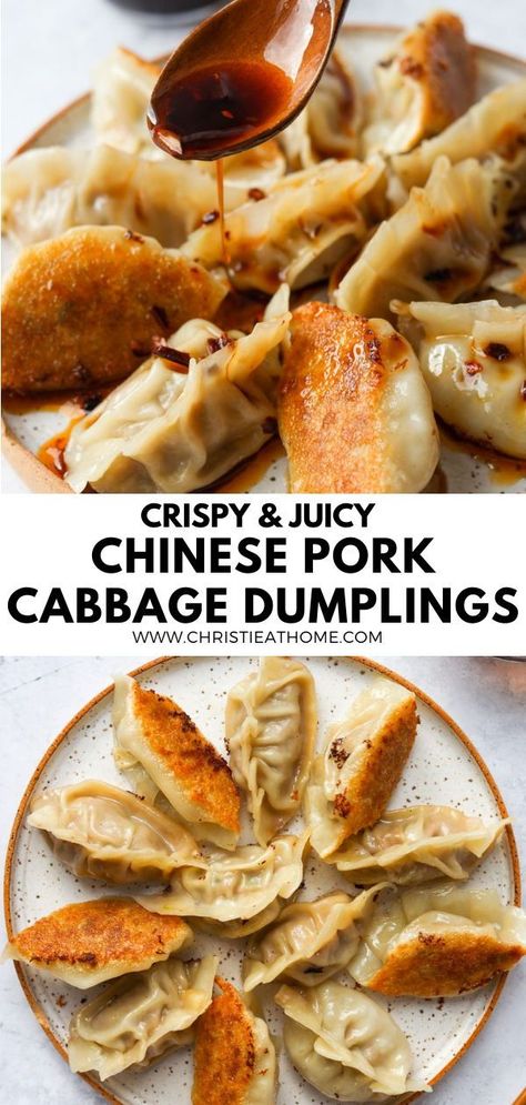 Pulled Pork Dumplings, Dumpling Dinner Ideas, Freezer Dumplings, Pork Dumpling Filling Recipe, Crab Dumplings Recipe, Pork Dumpling Filling, Asian Dumplings Recipe, Dumpling Filling Recipe, Ground Pork And Cabbage