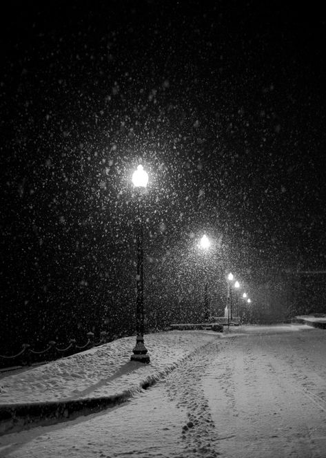 This pic was taken on a snowy, lamp-lit night in December in a sleepy little river town.  As the snow fell, streets cleared.  All but the lights of lamps.  Beautiful. This listing is for a 5X7 print on premium quality, archival paper with a matte finish. Can also be mounted to wood, canvas, metal print or made in to greeting cards! Will be signed by me and shipped in a sturdy photo mailer to ensure it's safe arrival to you. You can also order other sizes!  {Please contact me for more info!} Silent Night Aesthetic, Snowy Street Night, Snow Night City, Snow In Night, Snowy Night Aesthetic, Snowing At Night, Snow In The Dark, Dark Snow Aesthetic, Winter Night Aesthetic