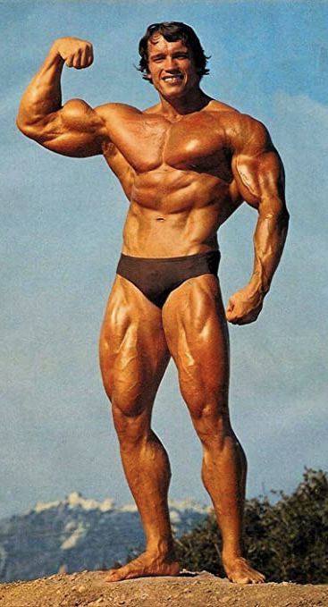 Arnold Bodybuilding, Bodybuilding Inspiration, Short Arms, Arnold Schwarzenegger Bodybuilding, Schwarzenegger Bodybuilding, Marketing Ads, Gym Images, Sixpack Workout, Bodybuilding Pictures