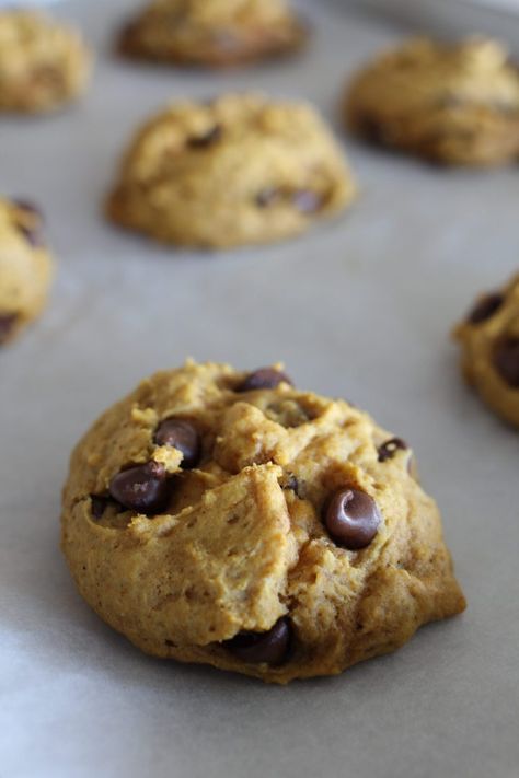 Pumpkin Chocolate Chip Cookies with Fresh Lemon Icing Pumpkin Cookies Vegan, Healthy Pumpkin Cookies, Protein Chocolate Chip Cookies, Pumpkin Cookies Healthy, Pumpkin Cookie Recipe, High Protein Desserts, Cookies Healthy, Six Sisters Stuff, Soft Chocolate Chip Cookies