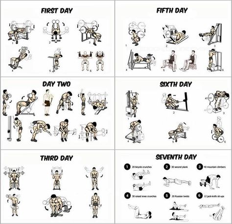 1- This Insanity Workout Calendar takes 6 days and each day is dedicated for one group of muscles. They are divided as the following:chest musclesThe first dayhands musclesDay Twoshoulder musclesThird dayfor little Full Week Workout Plan, Ab Fitness, Week Workout Plan, 7 Day Workout Plan, Strenght Training, Workout Morning, 7 Day Workout, Gym Program, Workout Fat Burning