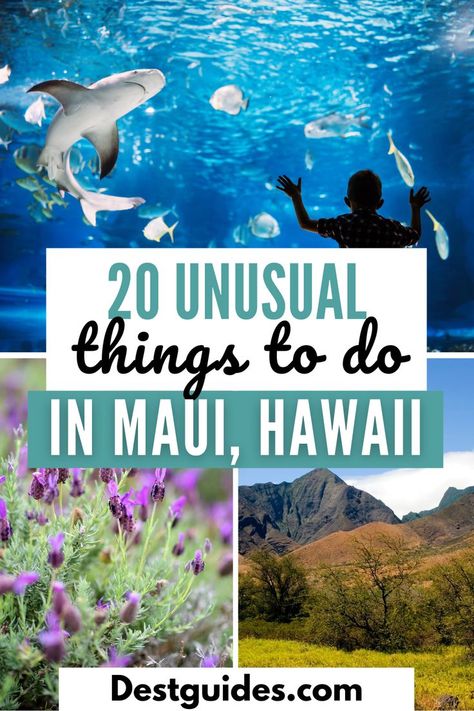 Looking for the best things to do in Maui, Hawaii beyond the usual tourist spots? You're in the right place as this post will show you all the best non-touristy things to do in Maui, Hawaii for an amazing trip. From the best hidden gems in Maui to the unusual things to do in Maui, this post will show you beautiful attractions in Maui you didn't even know existed. So what are you waiting for? Grab your bags, and let's explore the off-the-beaten path in Maui. Travel Maui Hawaii, Best Maui Excursions, Best Things To Do In Maui Hawaii, Kaanapali Maui Things To Do, Top Things To Do In Maui, Maui Must Do Activities, Maui Outfit Ideas 2023, What To Do In Maui Hawaii, Kihei Maui Things To Do