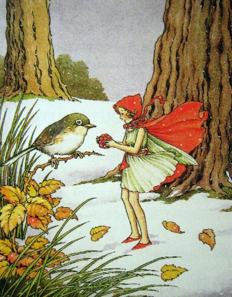 The Winter Fairy Came in the Snow ~ Ida Rentoul Outhwaite Bird Sparrow, Postcard Vintage, Fairy Illustration, Snow Fairy, Fairy Pictures, Winter Fairy, Cicely Mary Barker, Snowy Forest, Vintage Fairies