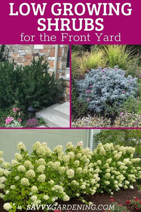 Shrubs For Landscaping, Landscaping Shrubs, Low Growing Shrubs, Porch Landscaping, Small Front Yard Landscaping, Front Landscaping, Casa Patio, Front Yard Garden Design, Low Maintenance Landscaping