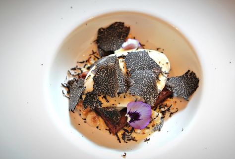 5 black truffle dishes to fall in love with this summer Black Truffles Recipe, Black Summer Truffle Recipes, Black Truffle Recipe Dishes, Truffle Recipe Mushroom, Truffle Dishes, Black Truffle Recipe, Truffle Dessert, Pickled Walnuts, Wine Ice Cream