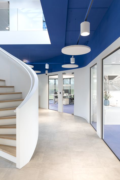 Blue Ceiling Office, Blue And White Architecture, Blue Office Interior Design, Sky Blue Interior Design, Blue Entrance Hall, Office Staircase Design, Office Design Blue, Blue And White Office, Blue White Office