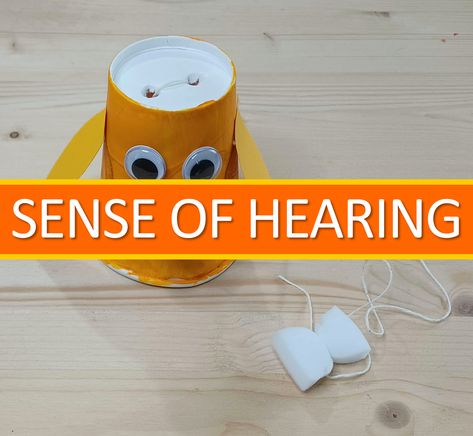 Hearing Senses Activities, Ear Crafts Preschool, Sense Of Hearing Craft, Sense Of Hearing Activity For Preschool, Hearing Lessons Preschool, Hearing Sensory Activities, Hear Sense Activities Preschool, Sense Organs Activities For Kids, Hearing Crafts Preschool