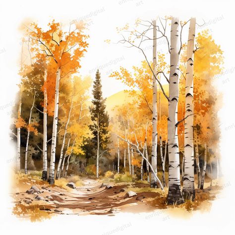 Fall Forest Watercolor, Autumn Watercolor Landscapes, Trees Clipart, Fall Stickers, Birch Forest, Tree Clipart, Digital Photos, Birch Trees, Autumn Forest