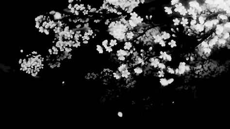 Dark Gif, Black And White Gif, Gif Background, Black Banner, Animated Banners, Aesthetic Shop, Flowers Gif, Dark Flowers, Banner Gif