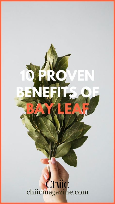 BAY LEAVES BENEFITS, REMEDIES AND USES Bay Leaf Tea Benefits, Bay Leaves Uses, Bay Leaf Benefits, Bay Leaf Tea, Burn Bay Leaves, Bay Laurel Tree, Burning Bay Leaves, Leaf Health, Health Corner