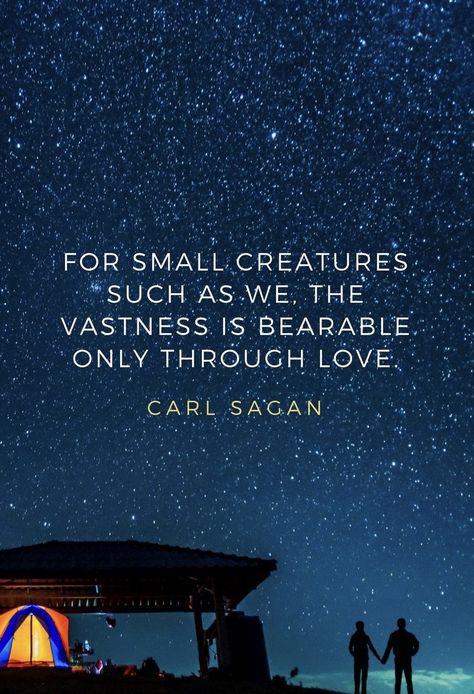 For small creatures such as we the vastness is bearable only through love.  Carl Sagan (375x660) #quote #quotes #motivation #motivational Carl Sagan Frases, We Quotes, Starseed Quotes, Storytelling Quotes, Scientist Quote, Inspiration For Art, Space Quotes, Eckhart Tolle Quotes, Small Creatures