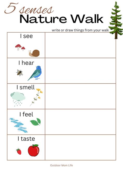 5 SENSES NATURE WALK Scavenger Hunt Printable Outside Sensory Nature Activity Nature Scavenger Walk Instant Download - Etsy UK Nature Preschool Worksheets, 5 Senses Nature Walk Preschool, 2nd Grade Nature Activities, Nature Hunt Printable, Nature Walk Activities For Toddlers, Homeschool Outside Activities, Nature Lessons For Preschool, Nature Themed Activities For Kids, Fall Nature Scavenger Hunt For Kids