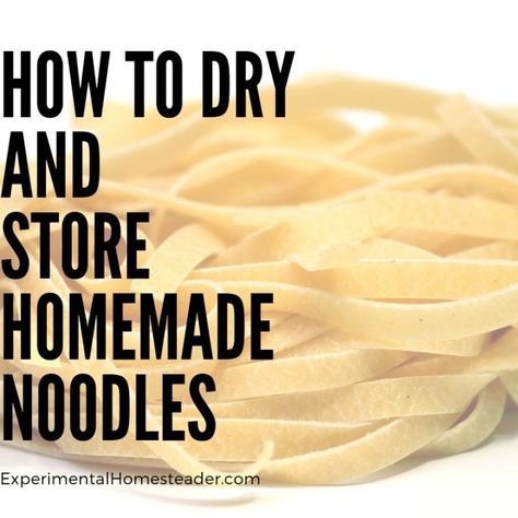 Homemade Pasta Storage, Easy Homemade Noodles, Homemade Pasta Noodles, Homemade Ramen Noodles, Noodle Recipes Homemade, Kitchen Aide, Homemade Pasta Dough, Kitchenaid Pasta, Healthy Fruit Snacks