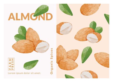 Almond packaging design templates, watercolour style vector illustration. Cinnamon Packaging, Watercolor Packaging, Packaging Template Design, Organic Spice, Cityscape Photos, Logo Banners, Nature Backgrounds, Background Banner, Landscape Photos