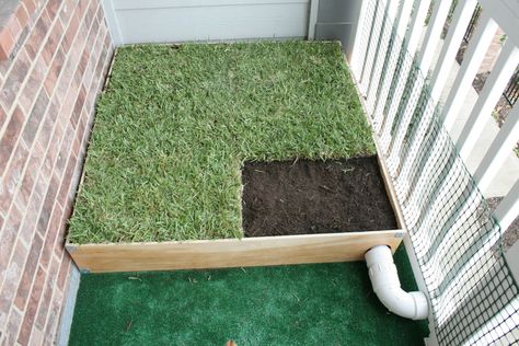 Dog Porch Potty with Real Grass and Drainage System - post - Imgur Dog Potty Diy, Dog Porch, Porch Potty, Dog Potty Area, Indoor Dog Potty, Diy Dog Kennel, No Grass Backyard, Dog Toilet, Dog Potty