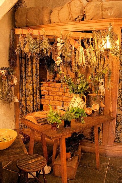 Warwick Castle Kitchen (my favorite room on the tour, of course) Castle Kitchen, Castle Kitchens, Warwick Castle, Witch Cottage, Smitten Kitchen, Witch House, Kitchen Witch, Jolie Photo, The Ceiling