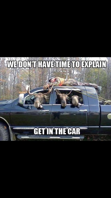 deer hunting season Deer Hunting Memes, Funny Hunting Pics, Deer Hunting Humor, Hunting Jokes, Funny Deer, Hunting Humor, Archery Hunting, Funny Animal Jokes, Hunting Season