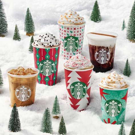 Starbucks Seasonal Drinks, Chestnut Praline Latte, Toasted White Chocolate Mocha, Minuman Starbucks, Caramel Brulee Latte, Starbucks Coffee Cups, Starbucks Holiday Drinks, Drinks Packaging, Starbucks Menu