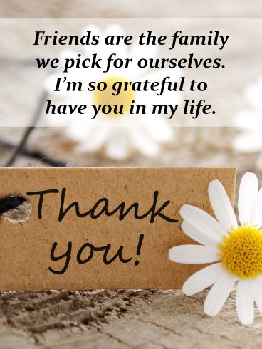 They say that friends are the family we pick for ourselves. That sentiment is perfectly captured in this thank you card to a special friend in your life. With a single daisy and a simple, rustic “Thank You!” note, it's a warm reminder of just how grateful you are to have them in your life, and how much joy they bring to you each and every day. Thank You For Bringing Joy To My Life, Thank You For Your Greetings, Thank You For Friendship, May This Year Bring You Quotes, Thank You For Gift Quotes, Thank You Notes For Friends, Thank You My Friend, Thank You For Your Friendship, Grateful For Friends Quotes