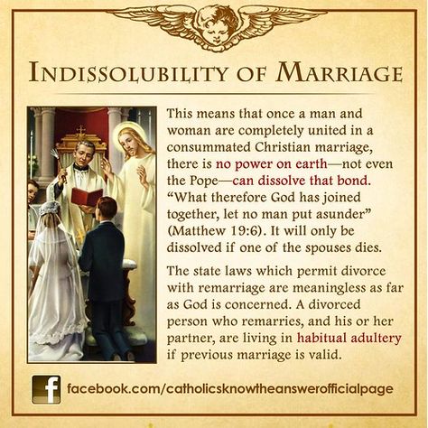 Catholic Marriage, Catholic Sacraments, Catholic Theology, Bible Photos, Catholic Answers, Catholic Doctrine, Catholic Memes, Catholic Beliefs, Catholic Education