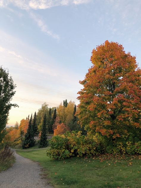 Finland Autumn, Finland Aesthetic, Finland Travel, Fall Mood Board, Fall Mood, Fall 24, Fall Feels, Fall Is Here, Autumn Vibes