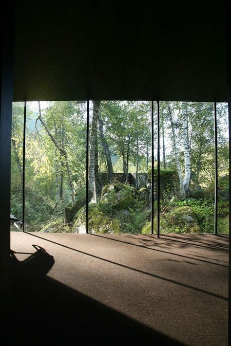 Nature Hotel, Landscape Hotel, Forest Hotel, Window Walls, Independent House, Glass Walls, Window View, Forest House, Glass House