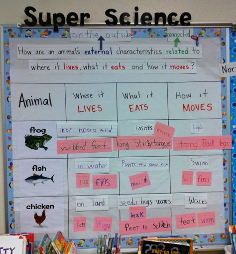 Science TEKS 1.10A Investigate how the external characteristics of an animal are related to where it lives, how it moves and what it eats. (RRISD) Glad Strategies, Animal Characteristics, Interactive Word Wall, Characteristics Of Living Things, Sensory Words, Science Anchor Charts, Second Grade Science, Attention Getters, 1st Grade Science