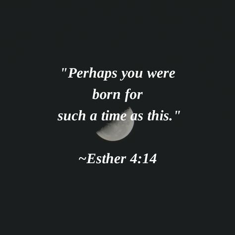 "Perhaps you were born for  such a time as this." ~Esther 4:14  #Amen Such A Time As This, Day You Were Born Quotes, You Were Born For Such A Time As This, You Were Made For Such A Time As This, Such A Time As This Esther, The Day You Were Born Quotes, Perhaps You Were Born For Such A Time, For Such A Time As This Tattoo, For Such A Time As This