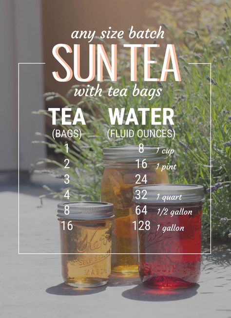 sun tea guide for tea bags // picklejarstudios.com Sun Tea Recipes, Tea Guide, Plat Vegan, Tea Brewing, Sun Tea, Iced Tea Recipes, Pickle Jars, Eat Better, Rachael Ray