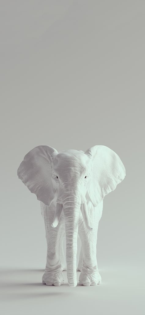 an amazing picture idea to put on you’re phone 🤍 #picture #aesthetic Wallpaper Elephant Iphone, White Elephant Aesthetic, Elephant Asthetic Picture, Elephant Aesthetic Wallpaper, Elephant Wallpaper Iphone, Elephant Phone Wallpaper, Elephant Aesthetic, Elephant Wallpaper, Elephant Pictures