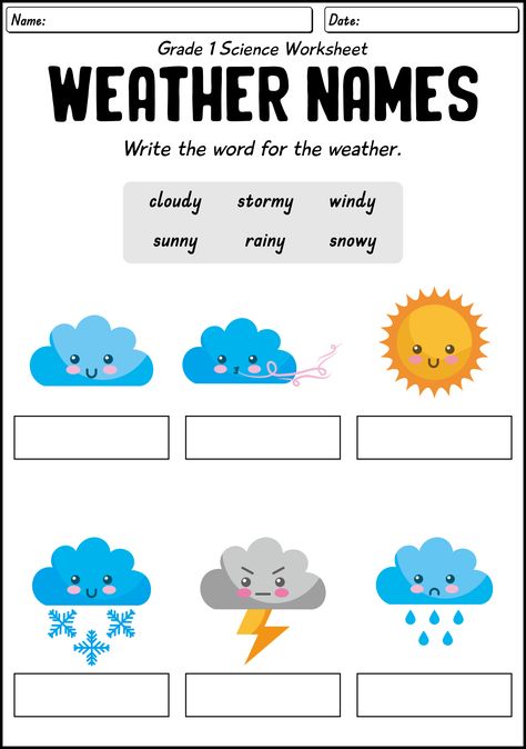 First Grade Science Worksheets 1st Grade Worksheets Free Printables Fun, Science Worksheets Grade 2, Kindergarten Worksheets Science, First Grade Science Worksheets, Instructional Activities, Science Cells, Life Science Activities, Biology Worksheet, Second Grade Science